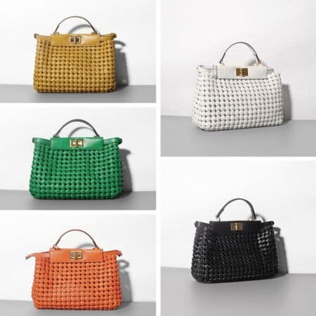 Luxury Woven Handbag 3