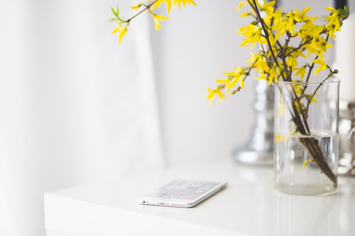 Phone cover